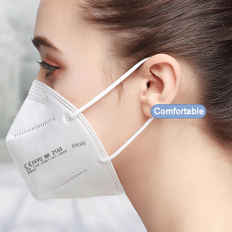 KN95 Face Mask